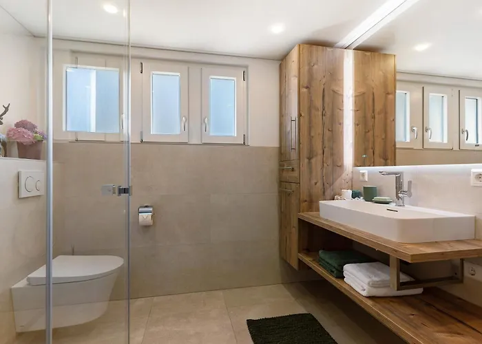 Apartment Moderner Schwarzwaldtraum Oberharmersbach